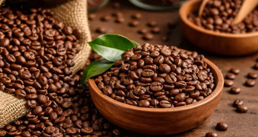 What Makes Kooky Plate KL Coffee Beans Stand Out